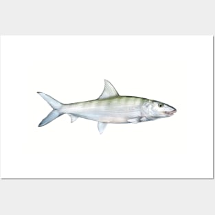 Bonefish Posters and Art